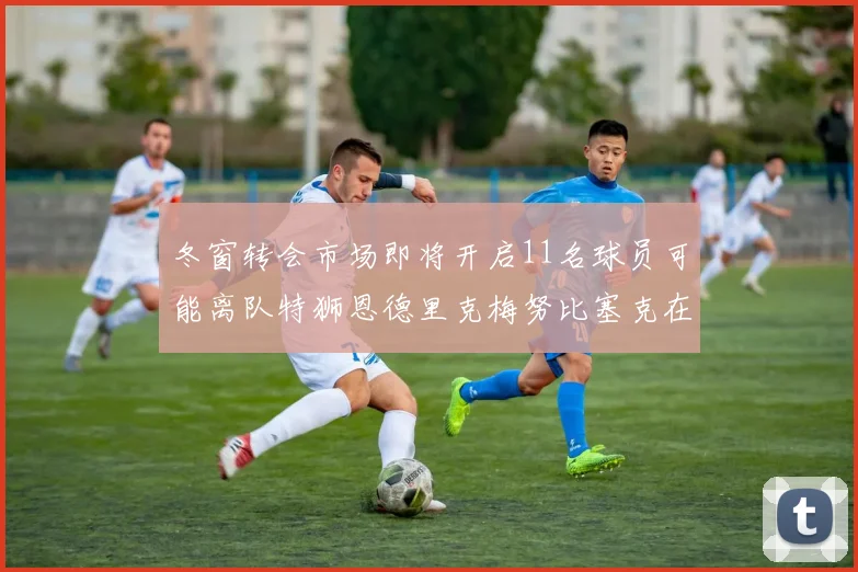 冬窗转会市场即将开启11名球员可能离队特狮恩德里克梅努比塞克在列